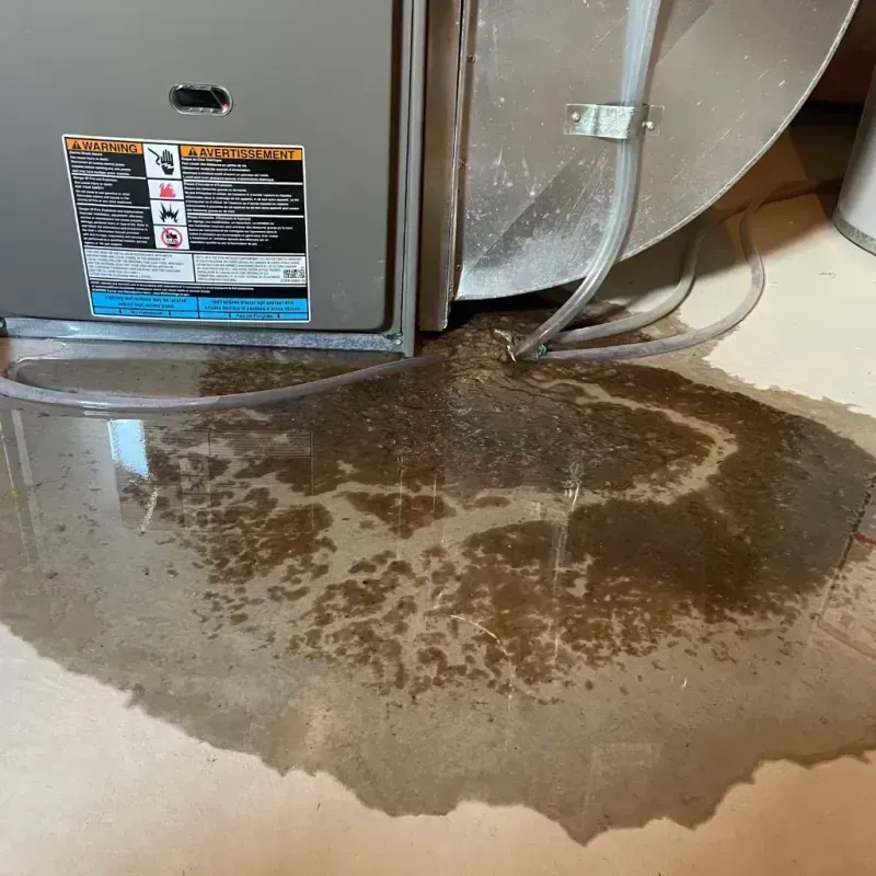 Appliance Leak Cleanup in Leoti, KS